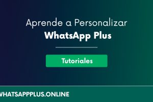 Aprende a personalizar WhatsApp Plus – Guía Completa