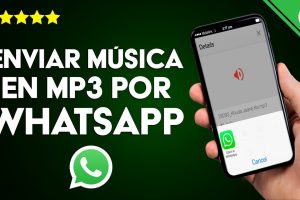 Como enviar música y videos por WhatsApp Plus
